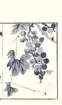 photo21_small.jpg