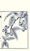 photo7_small.jpg