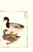 photo11_small.jpg