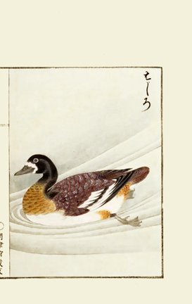 photo15.jpg