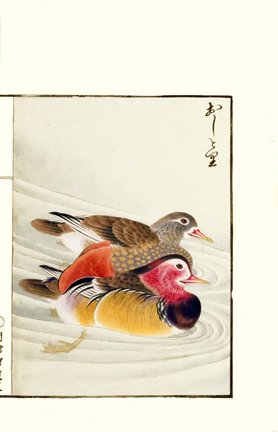 photo21.jpg