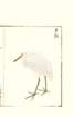 photo24_small.jpg
