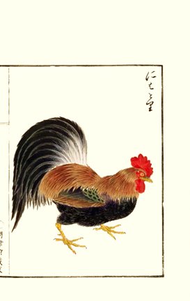 photo41.jpg