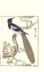 photo61_small.jpg