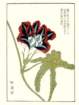 photo15_small.jpg