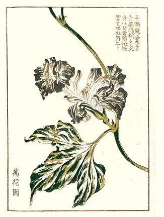 photo20.jpg
