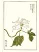 photo21_small.jpg
