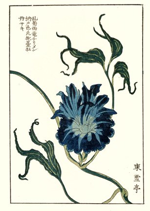 photo31.jpg