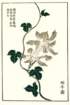 photo7_small.jpg