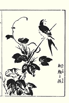 photo.jpg