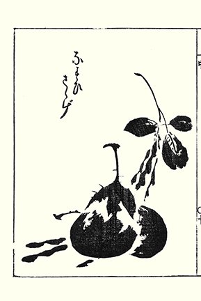 photo14.jpg