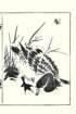photo15_small.jpg