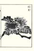 photo18_small.jpg