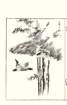 photo26_small.jpg