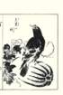 photo30_small.jpg