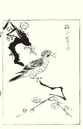 photo32.jpg