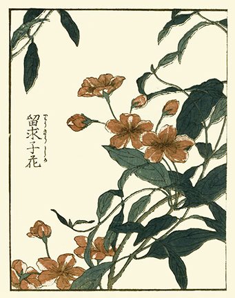 photo33.jpg