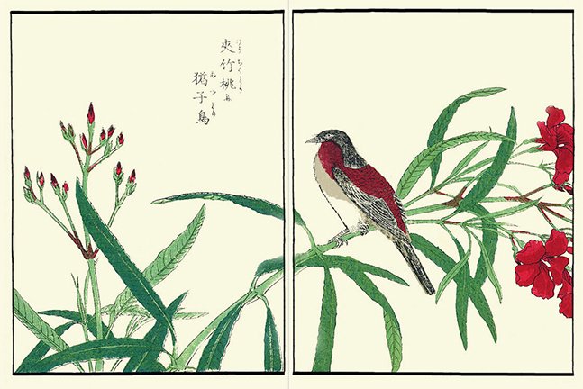 photo39.jpg