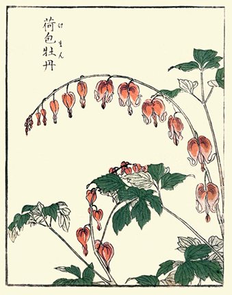 photo17.jpg