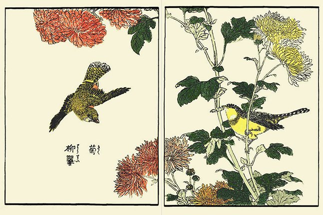 photo22.jpg