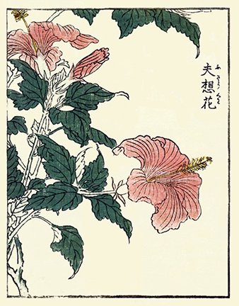 photo9.jpg