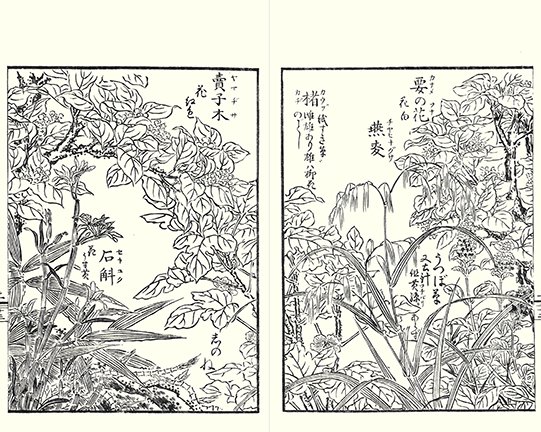 photo11.jpg
