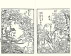 photo11_small.jpg