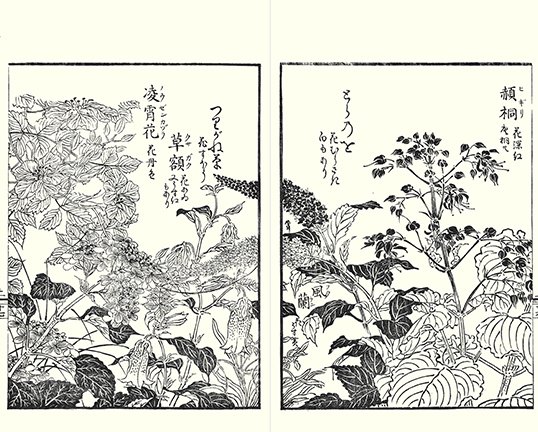 photo14.jpg