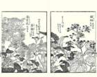 photo14_small.jpg