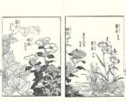 photo15_small.jpg