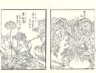 photo22_small.jpg