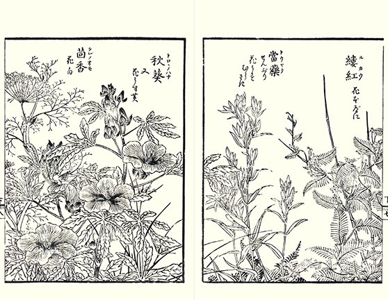 photo23.jpg
