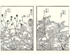 photo24_small.jpg