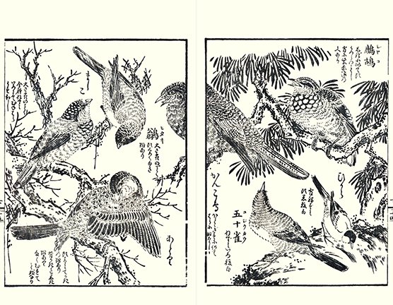photo26.jpg