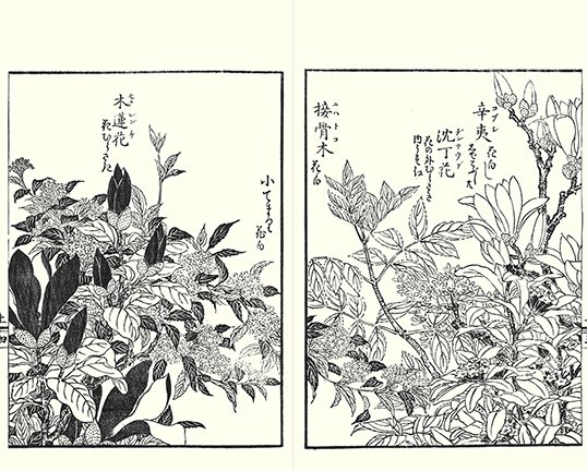 photo4.jpg