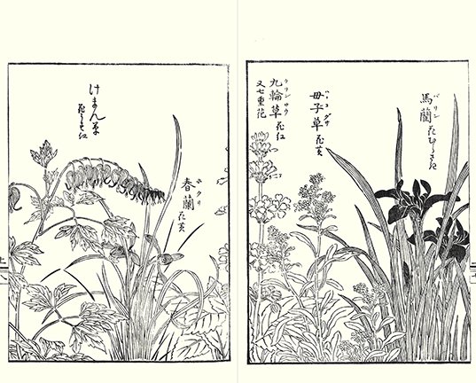 photo7.jpg
