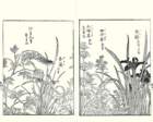 photo7_small.jpg