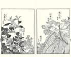 photo9_small.jpg