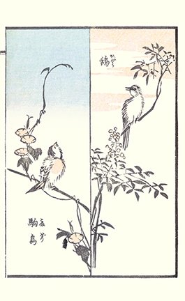 photo23.jpg