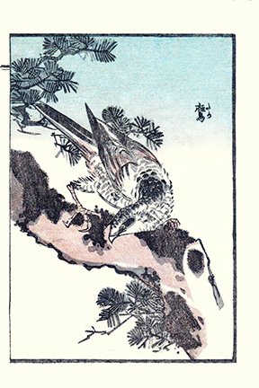 photo31.jpg
