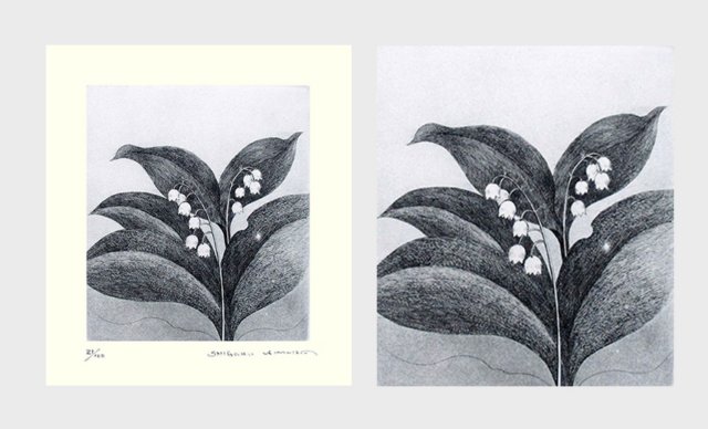 photo24.jpg
