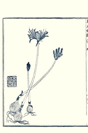 photo29.jpg