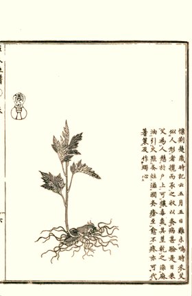 photo3.jpg