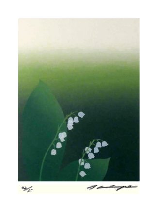 photo34.jpg
