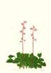 photo19_small.jpg