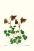 photo25_small.jpg