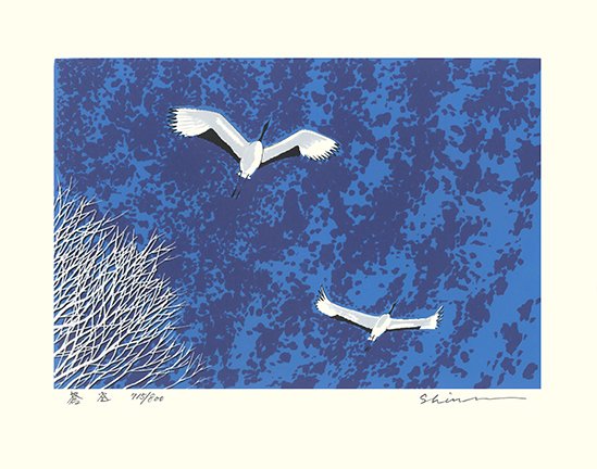 photo12.jpg