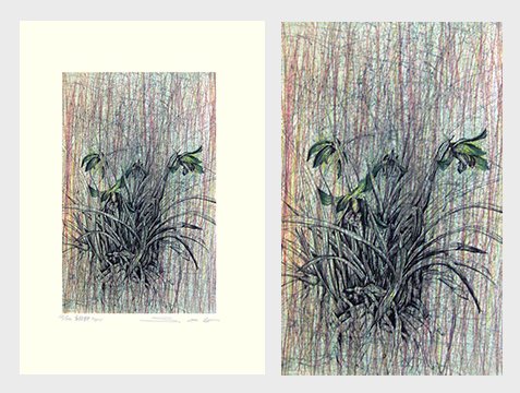 photo20.jpg
