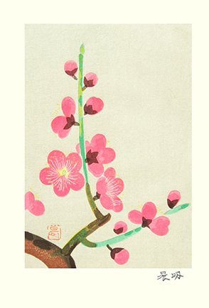photo6.jpg