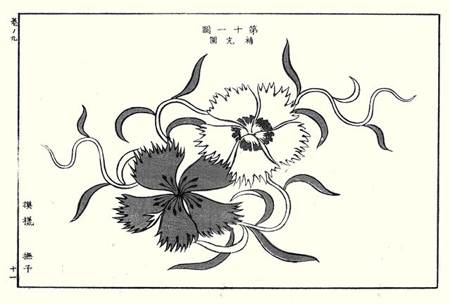 photo13.jpg